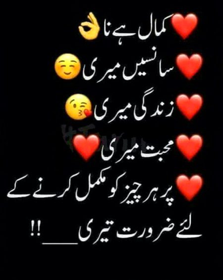 Saanaam ❣️❣️ blkl ji