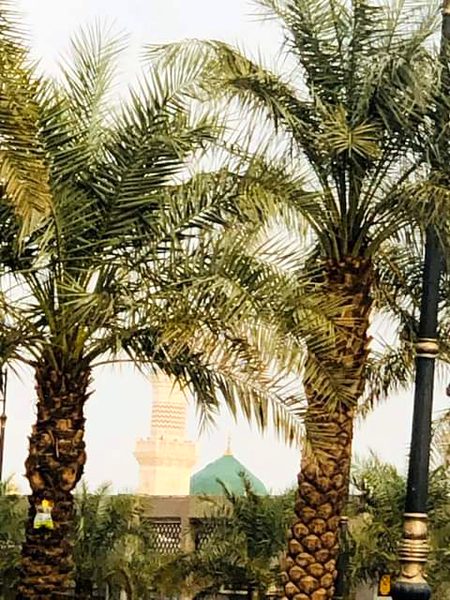 آتے ہیں وہی جن کو سرکار بلاتے ہیں 💖💖💖💖