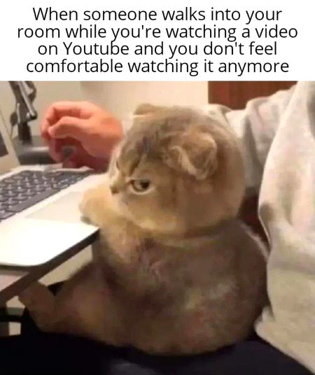 Memes & Satire image