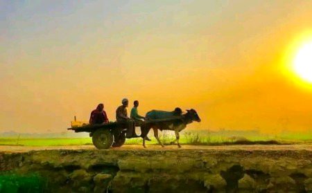 ہمارا معیار ہے شاہوں سے بغاوت کرنا✨🥰
|| ہم الجھتے ہیں فقط شہر کے سرداروں سے
