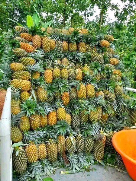 Beautiful Nature image