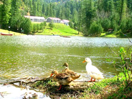 Beautiful Nature image