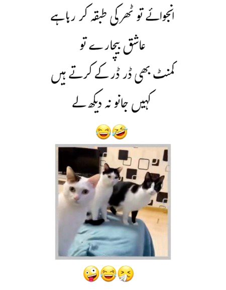 Jokes image
