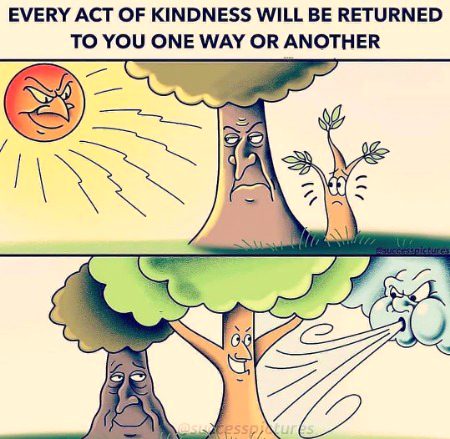 ѕнαнzαιв, Whaddyu think 'bout it