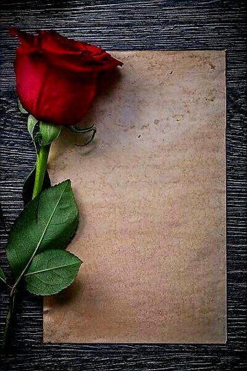 Saanaam ❣️❣️ 4U