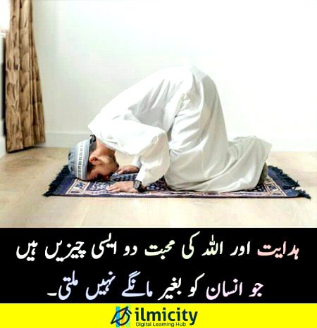 Islamic Quotes image