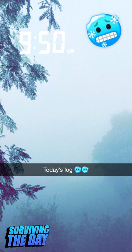 Beautiful Nature ❣️❤️❣️