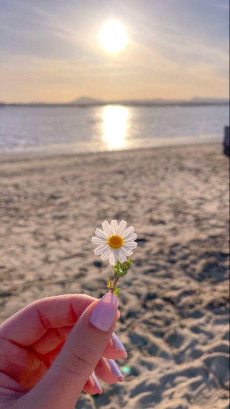 Beautiful Nature image