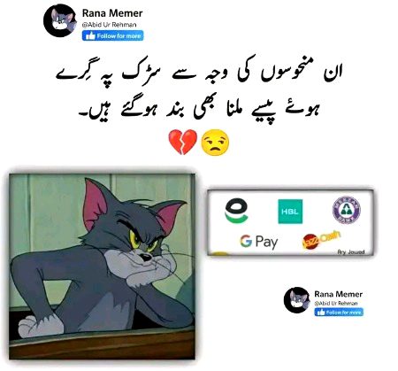 Memes & Satire image