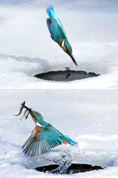 Beautiful Nature image