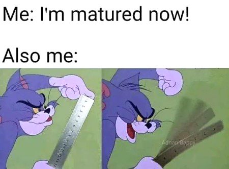 Memes & Satire image