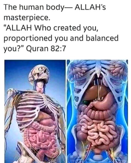 SubhanAllah 😍