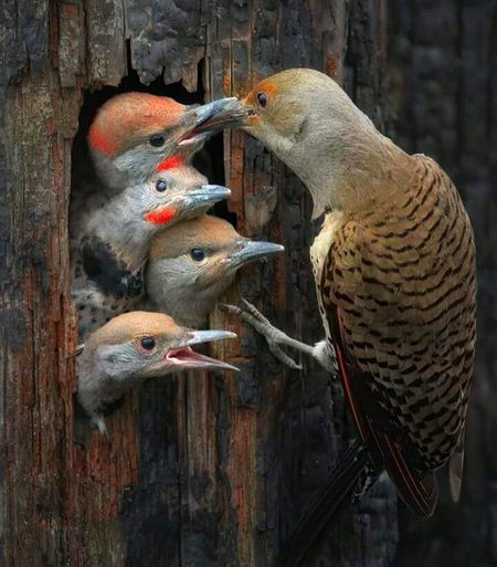 Beautiful Nature image