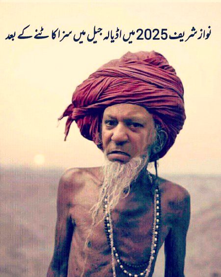 Memes & Satire image