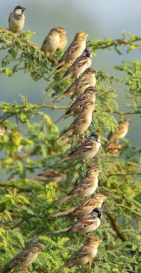Beautiful Nature image