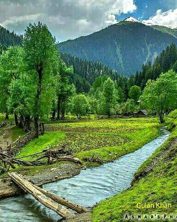Beautiful Nature image