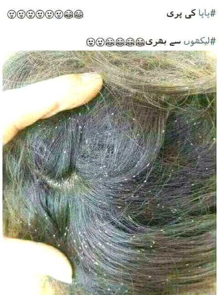 Memes & Satire image