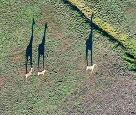 Beautiful Nature image