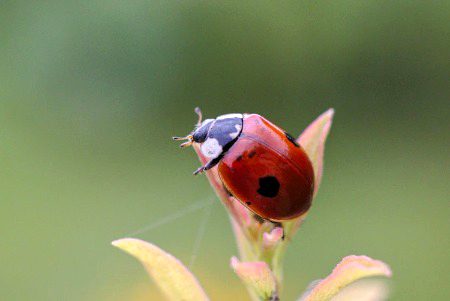 Beautiful Nature image