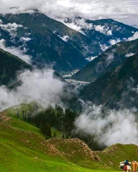 Beautiful Nature image