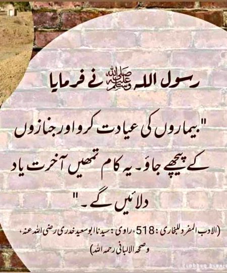 Islamic Quotes image