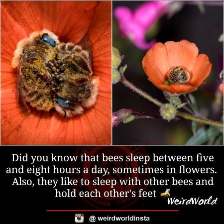 Interesting Posts image