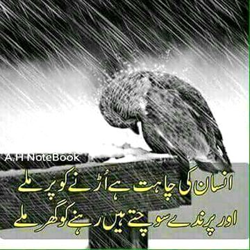 Sad Poetry image