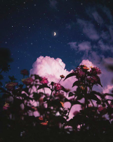 Beautiful Nature image