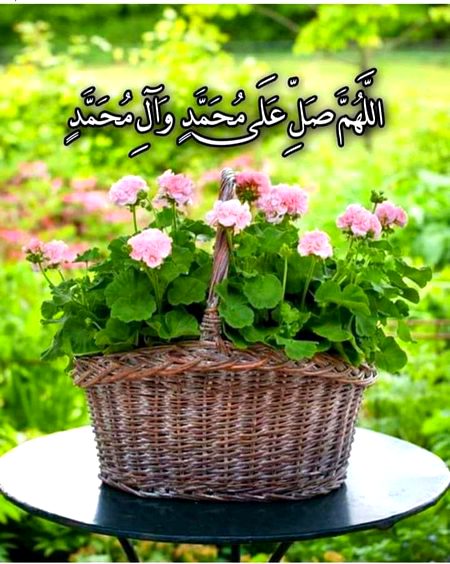 Islamic Quotes image