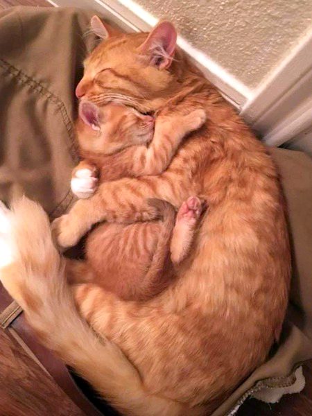 Beautiful Nature image