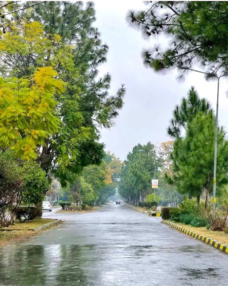 Beautiful Nature image