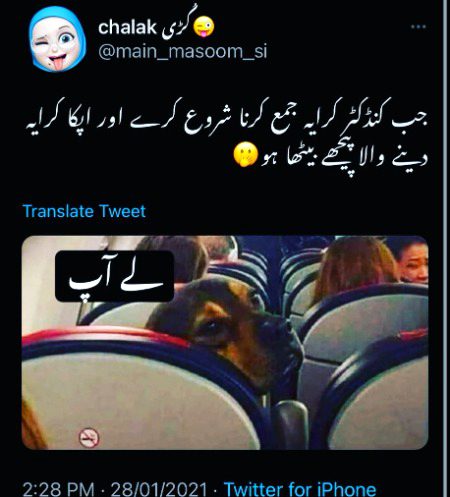 Memes & Satire image