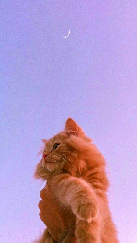 Beautiful Nature image