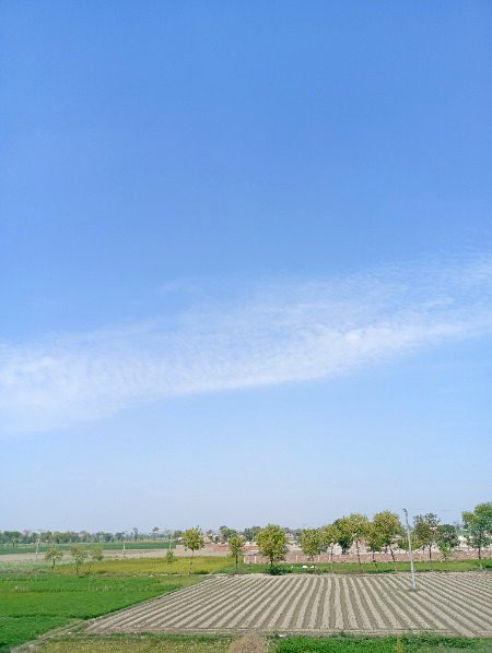 Beautiful Nature image