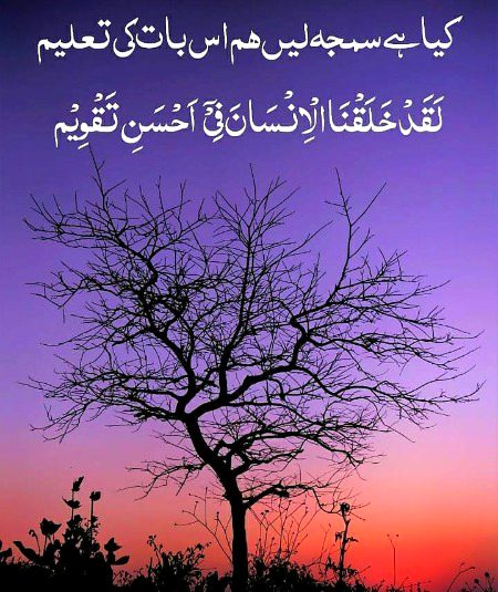 Islamic Quotes image