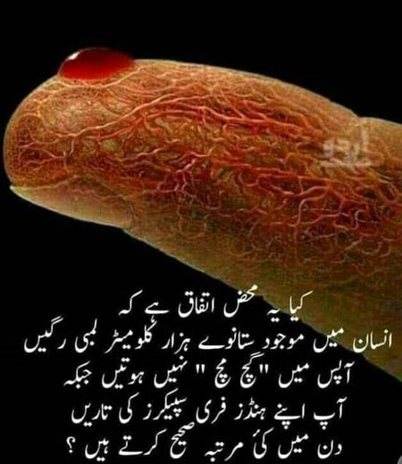 Interesting Posts image