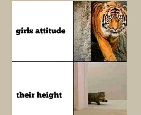 Memes & Satire image