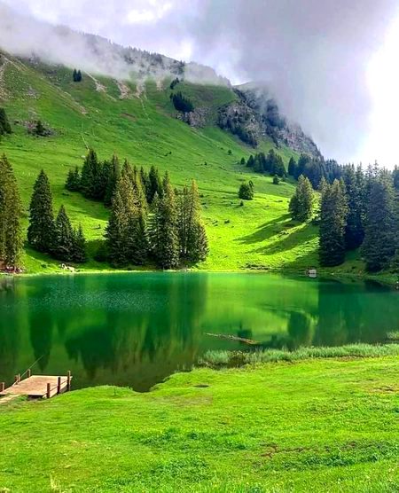 BEAUTIFUL NATURE