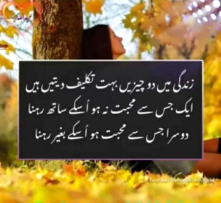 💯💯💯 بہت تکلیف 💔💔💔