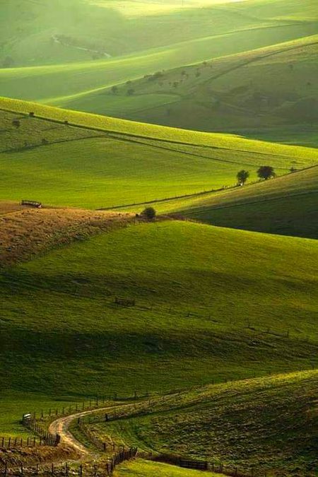 Beautiful Nature image