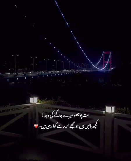 *اکیلے آئے تھے اکیلے جائیں گے ❤🩹🥹*
*ناجانے اکیلے رہا کیوں نہیں جاتا😭*
✍🏻🩵💫*