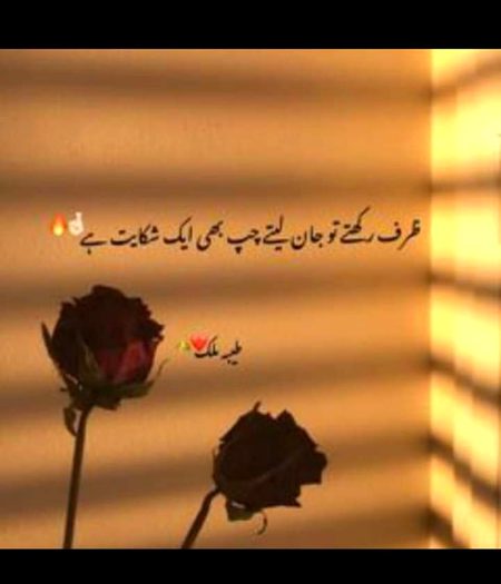 میں نے زندگی سے کسی کو نہیں نکالا    سب اعتبار کے حادثے میں مر گئے