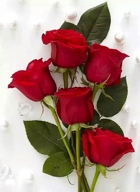 Beautiful Nature image