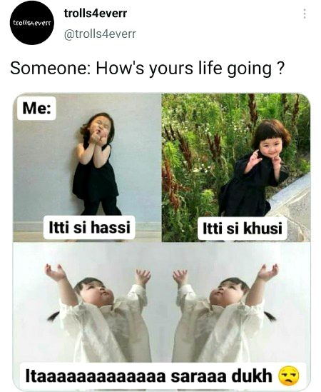 Memes & Satire image