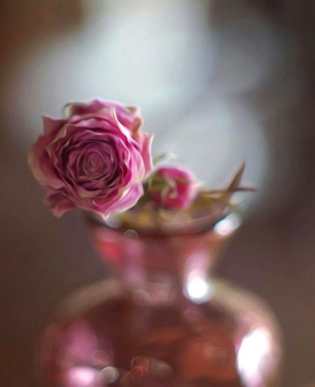 Beautiful Nature image