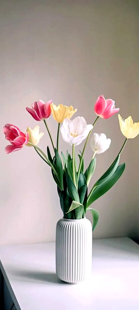 Beautiful Nature image