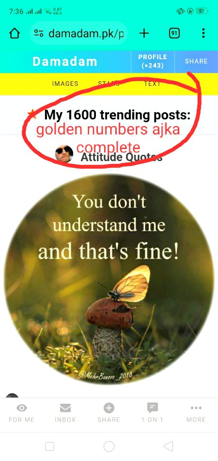 Damadam Roasting image