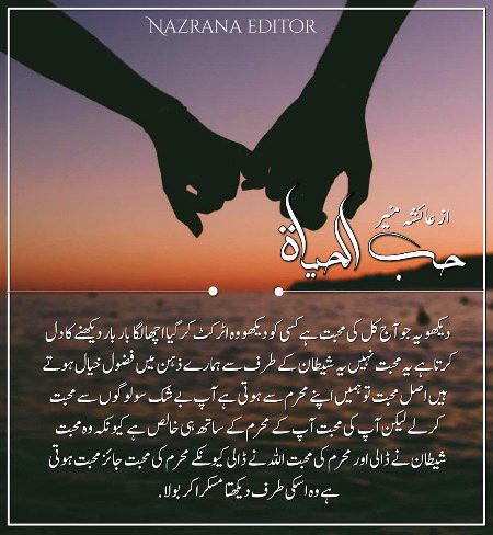 Romantic Novels image