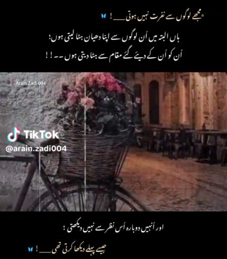 Attitude Quotes image