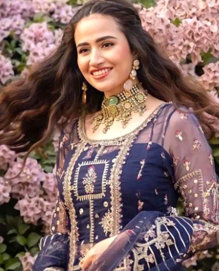 Pakistani Celebs image